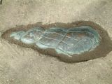 Fossil