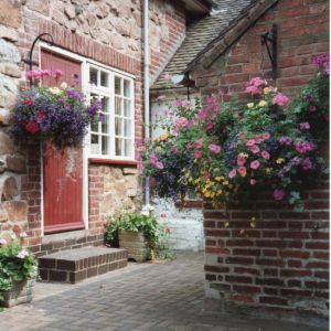 Open Gardens 1994 or 1995